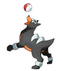  canine good_frog houndour nintendo no_humans poke_ball pokeball pokemon simple_background 