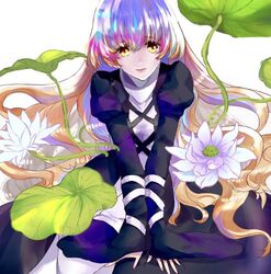  blonde_hair blue_hair brown_hair commentary_request dress female flower gradient_hair hijiri_byakuren layered_dress lily-an liz_triangle looking_at_viewer lotus lotus_leaf multicolored_hair purple_hair solo touhou v_arms white_background white_flower white_lotus yellow_eyes 