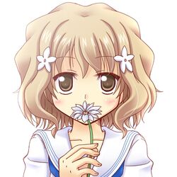  bad_id bad_pixiv_id blush brown_eyes brown_hair female flower hair_flower hair_ornament hanasaku_iroha hinata_mirun matsumae_ohana petals school_uniform serafuku short_hair solo 