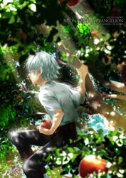  1boy apple baka_mandy commentary_request food fruit fruit_tree in_tree male_focus nagisa_kaworu neon_genesis_evangelion red_eyes sitting sitting_in_tree solo tree white_hair 