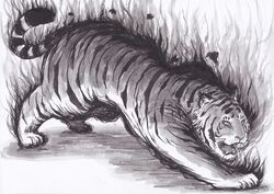  angry animal animal_focus aura commentary_request drawing fangs fangs_out full_body hiraoka_senitsu looking_afar monochrome no_humans open_mouth original shadow simple_background tail tail_raised tiger white_background 