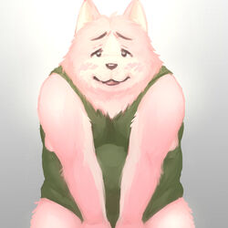  1:1 2018 anthro blush canid canine canis clothing domestic_dog hi_res looking_at_viewer male mammal norijaga shirt simple_background slightly_chubby solo tongue tongue_out topwear 