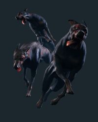  absurdres canine capcom cerberus highres resident_evil resident_evil_operation_raccoon_city 