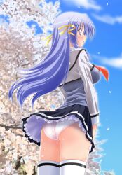  artist_request ass bad_link blue_hair cherry_blossoms female from_behind from_below hair_ribbon long_hair looking_back panties pantyshot pleated_skirt purple_eyes ribbon school_uniform se.kirara shizuno_izumi skirt solo thighhighs underwear white_panties wind wind_lift 