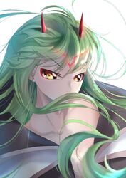  absurdres alternate_costume black_cape blurry budgiepon c.c. cape code_geass collarbone commentary cosplay darling_in_the_franxx demon_girl demon_horns depth_of_field eyelashes female forehead_tattoo green_hair hair_between_eyes hair_spread_out highres horns long_hair looking_at_viewer nose simple_background solo two-tone_cape v-shaped_eyebrows very_long_hair white_background white_cape wind wind_lift yellow_eyes zero_two_(darling_in_the_franxx) zero_two_(darling_in_the_franxx)_(cosplay) 