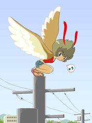  antennae commentary_request eighth_note feathered_wings feathers female harpy kabiinyo_(kab) midriff monster_girl musical_note o3o original outdoors power_lines sandals short_hair short_shorts shorts solo speech_bubble spoken_musical_note whistling winged_arms wings 