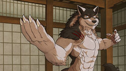  16:9 2018 abs anthro blue_eyes canid canine canis digital_media_(artwork) dojo fighting_pose male mammal martial_arts muscular muscular_anthro muscular_male mythological_canine mythological_creature mythology pecs pose rakan scar solo the_matrix were werecanid werecanine werewolf wfa widescreen wolf 