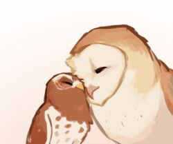  2022 avian barn_owl beak bird brown_body brown_feathers closed_eyes digital_media_(artwork) digital_painting_(artwork) duo elf_owl feathered_wings feathers female feral guardians_of_ga&#039;hoole gylfie hi_res male male/female owl pink_beak pruh simple_background soren_(gogh) tan_body tan_feathers true_owl tyto tytonid white_background white_body white_feathers wings yellow_beak 