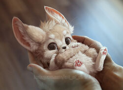  ambiguous_gender bite blurred_background brown_eyes canid canine cheek_tuft daww digital_media_(artwork) digital_painting_(artwork) disembodied_hand duo facial_tuft fennec_fox feral fluffy fox fur head_tuft human inner_ear_fluff mammal nom pawpads photo_manipulation pink_pawpads silverfox5213 tail tail_bite tail_in_mouth tail_nom tan_body tan_fur text third-party_edit true_fox tuft url whiskers 