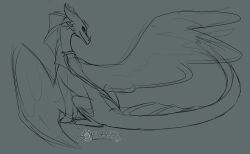  2024 ambiguous_gender black_and_grey digital_drawing_(artwork) digital_media_(artwork) dorsal_frill dragon feathered_wings feathers feral frill_(anatomy) full-length_portrait hi_res horn looking_at_viewer looking_back looking_back_at_viewer monochrome mythological_creature mythological_scalie mythology portrait s0lchaser scalie sitting snout solo tail tail_frill translucent translucent_wings wings 