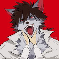  anthro brown_hair brown_nose canid canine canine_teeth canis chest_tuft clothing collared_shirt countershading dress_shirt duo felid feline first_person_view fish7163 fur grey_body grey_fur gums hair hand_on_chin hand_on_mouth long_hair looking_at_viewer male male/male mammal mostly_offscreen_anthro mostly_offscreen_character open_dress_shirt open_mouth pink_inner_ear popped_collar red_background red_eyes serval sharp_teeth shirt signature simple_background tan_body tan_fur teeth tongue topwear tuft white_body white_fur wolf 