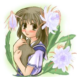  bad_anatomy blue_(ao_maru) brown_eyes brown_hair clannad epiphyllum female flower ibuki_fuuko lowres medium_hair oekaki purple_flower solo starfish white_flower yellow_eyes 