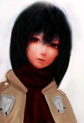  bad_id bad_pixiv_id black_hair derivative_work emblem female kaoruko mikasa_ackerman red_eyes scarf shingeki_no_kyojin short_hair solo training_corps_(emblem) 