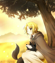  black_dog blonde_hair border_collie brown_cloak canine cloak commentary_request enekk female field nora_arento outdoors shepherd short_hair sitting sky spice_and_wolf sunset totoka tree yellow_eyes yellow_sky 