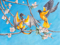  2012 avian baltimore_oriole bird bird_dragon black_eyes dragon duo feathered_wings feathers feral flower heather_bruton icterid male mimic_dragon mimicry mythological_creature mythological_scalie mythology new_world_oriole oscine passerine plant scalie tail wings 