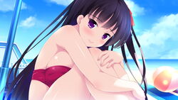  ball beach beachball bikini black_hair blue_sky blurry blurry_background blush breast_press breasts closed_mouth cloud day female game_cg hair_ribbon highres hugging_own_legs ko~cha large_breasts long_hair looking_at_viewer manazuru_kazuha ocean outdoors purple_eyes red_bikini red_ribbon ribbon shiny_skin sitting sky smile solo strapless strapless_bikini summer swimsuit very_long_hair wizards_complex 