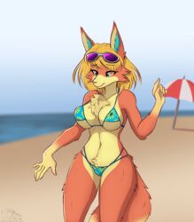  animal_crossing anthro audie_(animal_crossing) beach belly_fluff bikini canid canine canis chest_tuft clothing eyewear female hi_res mammal nintendo orang111 parasol sea seaside solo sunglasses swimwear tail tail_tuft tuft water wolf 