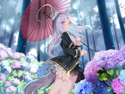  after_rain ahoge animal_ears black_jacket blue_flower blush commentary_request ear_ribbon female flower forest frilled_jacket frills green_ribbons highres holding holding_umbrella horse_ears horse_girl horse_tail hydrangea jacket long_hair long_sleeves looking_at_viewer mejiro_mcqueen_(umamusume) nature oil-paper_umbrella outdoors purple_eyes purple_flower purple_hair red_umbrella ribbon sho_(runatic_moon) solo standing tail tree umamusume umbrella umbrella_over_shoulder water_drop 