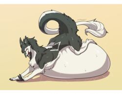  belly big_belly cmitchell feral feral_pred fully_inside hi_res letterbox male sergal solo tail tail_tuft tuft vore 