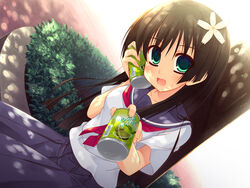  :d bad_id bad_pixiv_id black_hair blouse blue_skirt can can_to_cheek dappled_sunlight drink dutch_angle female flower giving green_eyes hair_flower hair_ornament holding holding_can incoming_drink long_hair looking_at_viewer moriguchi_yuu neckerchief open_mouth outdoors pavement plant pleated_skirt sakugawa_school_uniform saten_ruiko school_uniform serafuku shirt short_sleeves skirt smile solo summer_uniform sunlight tea toaru_kagaku_no_railgun toaru_majutsu_no_index tree white_shirt 