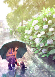  black_cat boots commentary_request dress feline female flower highres holding holding_umbrella hydrangea kun52 original purple_dress rain reflective_pavement short_hair solo squatting tree umbrella wet_pavement 