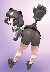  animal_ears ass bear_ears bear_girl bear_tail bike_shorts black_eyes black_hair breasts brown_bear_(kemono_friends) commentary_request elbow_gloves female fingerless_gloves gloves highres kemono_friends matagitii medium_breasts paw_stick photoshop_(medium) short_tail simple_background solo tail 