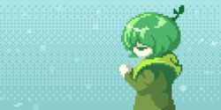  animated animated breath breathing female from_side green_eyes green_hair hood hoodie kawawagi original pixel_art snow snowflakes snowing solo sprout_on_head upper_body 