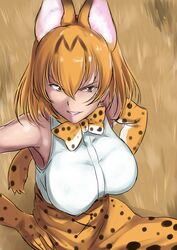  absurdres animal_ears animal_print bad_id bad_twitter_id breasts commentary_request female gloves highres kemono_friends large_breasts looking_at_viewer sakushaaya_(3948aya) serval_(kemono_friends) serval_print short_hair tail 