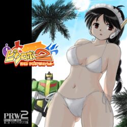  bikini black_hair borrowed_character braid breasts commentary_request female from_below iori long_hair looking_to_the_side marison_(aono107) mecha pixiv_robot_wars prion red_eyes robot robot_ears solo swimsuit white_bikini 