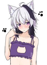  ahoge androgynous animal_ear_fluff animal_ears arm_at_side armpit_crease bare_arms bare_shoulders bikini black_hair bright_pupils cat_cutout cat_ear_bikini cat_ears clothing_cutout collarbone commentary_request embarrassed female flat_chest flower_(gynoid_talk) flower_(vocaloid) frilled_bikini frills gynoid_talk hair_between_eyes hand_up looking_to_the_side medium_hair multicolored_hair parted_lips pink_eyes sena_kizahashi simple_background solo streaked_hair sweatdrop swimsuit two-tone_hair upper_body vocaloid white_background white_hair 