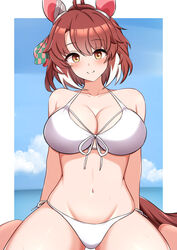  ahoge animal_ears arn7 bikini breasts brown_eyes brown_hair cleavage closed_mouth collarbone commentary_request dantsu_flame_(umamusume) female hair_between_eyes hair_ornament highres horse_ears horse_girl horse_tail large_breasts looking_at_viewer navel ocean sitting solo swimsuit tail umamusume wariza white_bikini 