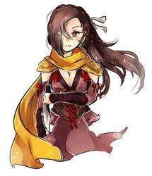  assassin blush breasts brown_eyes brown_hair cleavage female fire_emblem hair_ribbon kagero large_breasts long_hair solo tagme 