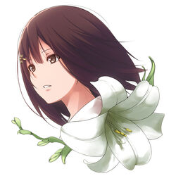  brown_eyes brown_hair commentary_request female flower flowers_(innocent_grey) hair_ornament hairclip highres innocent_grey kousaka_mayuri lily_(flower) nanaku_teiru open_mouth photoshop_(medium) short_hair solo white_background 