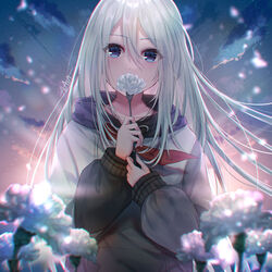  asaya-bigun blue_eyes blurry blurry_foreground carnation_recollection_(project_sekai) commentary female floating_hair flower hair_between_eyes highres holding holding_flower long_hair long_sleeves looking_at_viewer outdoors project_sekai solo straight_hair sweater upper_body very_long_hair white_flower white_hair yoisaki_kanade 