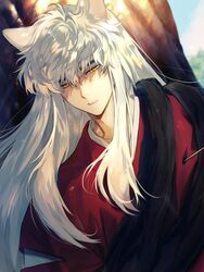  1boy animal_ears blue_sky commentary_request day dog_ears highres inuyasha inuyasha_(character) japanese_clothes korean_commentary long_hair looking_down male_focus mgmg_1012 open_mouth outdoors shaded_face sky solo tree upper_body white_hair yellow_eyes 