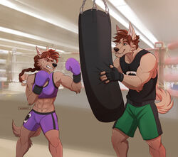  2020 5_fingers abs anthro arm_tuft athletic athletic_anthro athletic_female athletic_male athletic_wear black_clothing black_nose black_shirt black_tank_top black_topwear bodily_fluids bottomwear boxing boxing_gloves bra braided_hair breasts brother_(lore) brother_and_sister_(lore) brown_body brown_fur brown_hair brown_nose canid canine canis claws clothed clothing duo elbow_tuft female fighting_ring fingerless_gloves fingers fur gloves green_bottomwear green_clothing green_shorts gym gym_bottomwear gym_shorts hair handwear holding_object holding_punching_bag looking_at_another male mammal muscular muscular_female nasnency navel nils_rinkan punching_bag purple_bottomwear purple_bra purple_clothing purple_shorts purple_underwear shirt shorts sibling_(lore) sister_(lore) sport sports_bra sweat tani_rinkan tank_top topwear training tuft underwear wolf 