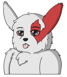  absurd_res alpha_channel black_eyes blep bust_portrait darknetic digital_media_(artwork) feral fluffy fur generation_3_pokemon hi_res male markings nintendo pokemon pokemon_(species) portrait red_body red_fur red_sclera solo tongue tongue_out white_body white_fur zangoose zangtober_2020 