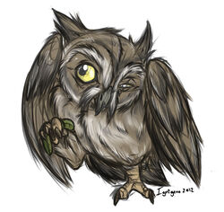  2012 ambiguous_gender avian bird brown_body brown_feathers ezylryb feathers feet feral guardians_of_ga&#039;hoole ignigeno male_(lore) one_eye_closed owl screech_owl simple_background solo talons toes true_owl whiskered_screech_owl white_background yellow_eyes 