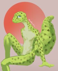  absurd_res animal_humanoid anthro digital_media_(artwork) eublepharid gecko hi_res humanoid leopard_gecko lizard nude pattern_(disambiguation) reptile reptile_humanoid scalie scalie_humanoid simple_background sitting southpawloup 