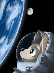  absurd_res ambiguous_gender astronaut astronaut_suit brown_body bruno_borker canid canine canis domestic_dog earth head_tuft hi_res mammal moon planet reflection solo space spacesuit star tuft whiskers 