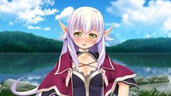  atelier-moo black_bustier blush breasts capelet cleavage cloud collar dark_elf elf embarrassed female forest hair_between_eyes highres lake large_breasts long_hair long_pointy_ears looking_down nature open_mouth pointy_ears purple_capelet purple_hair silvia_milsteen sky standing very_long_hair wizards_symphony yellow_eyes 