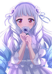  absurdres aikatsu!_(series) aikatsu_stars! blue_hair blue_ribbon blush covered_mouth dated dot_nose dress drill_hair english_text female flower flower_over_mouth gradient_hair hair_flower hair_ornament hair_ribbon happy_birthday highres holding holding_flower long_hair looking_at_viewer multicolored_hair purple_eyes red_eyes ribbon sekina shirogane_lily simple_background solo twin_drills upper_body very_long_hair white_background white_dress white_flower 