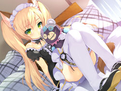  animal_ears elin emily tagme tera_online 