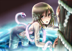  bad_id bad_pixiv_id brown_eyes brown_hair commentary_request female kuchinawa long_hair monogatari_(series) photoshop_(medium) s.h.v sengoku_nadeko snake solo wet wet_clothes 