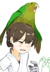  absurdres animal animal_on_head bird bird_on_head blue_ribbon brown_eyes brown_hair co_botan commentary_request female folded_ponytail gloves hair_ribbon highres kakapo kantai_collection kasuga_maru_(kancolle) long_hair on_head parrot ribbon simple_background single_glove swept_bangs upper_body white_background 