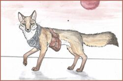  bandana border canid canine clothing corsac_fox corsack feral fox green_eyes kerchief looking_at_viewer mammal marlow outside red_border satchel solo traditional_media_(artwork) true_fox whiskers 