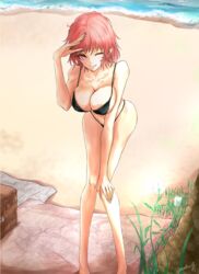  bad_id bad_pixiv_id beach bikini breasts cleavage commentary_request female highres large_breasts noah_(yakumo3903) one_eye_closed original outdoors pointy_ears red_eyes red_hair short_hair smile solo swimsuit 