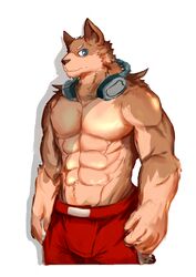  2015 abs absurd_res anthro athletic biceps big_muscles biped blue_eyes bottomwear brown_body brown_fur brown_nose canid canine canis clothed clothing electronics fd-caro fur headphones hi_res looking_at_viewer male mammal muscular muscular_anthro muscular_male pecs shorts simple_background solo standing tan_body tan_fur topless white_background wolf 