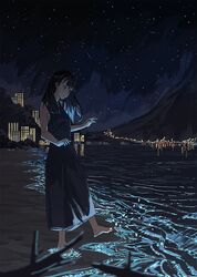  agas_(vpwt7475) bad_id bad_pixiv_id beach black_hair city city_lights commentary english_commentary female looking_down mountain night night_sky original outdoors reflection sky solo 