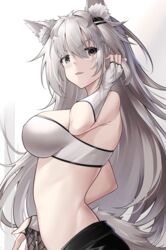  absurdres animal_ear_fluff animal_ears arknights bad_id bad_pixiv_id bandeau bare_shoulders blush breasts commentary female fingerless_gloves gloves grey_eyes grey_hair hair_ornament hairclip hand_up highres lappland_(arknights) large_breasts long_hair looking_at_viewer midriff oerba_yun_fang parted_lips scar scar_across_eye smile solo strapless tail tube_top upper_body v-shaped_eyebrows very_long_hair white_gloves wolf_ears wolf_tail yan_lie 